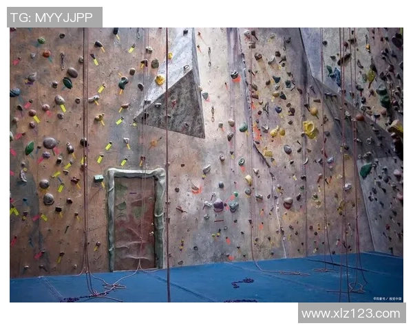 杭州攀岩队实力提升引发热议攀岩运动新风潮