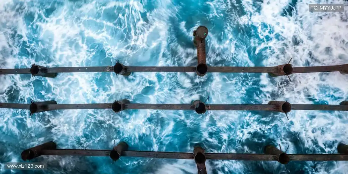 高清直播直击现场，让欢呼穿透屏幕！📺